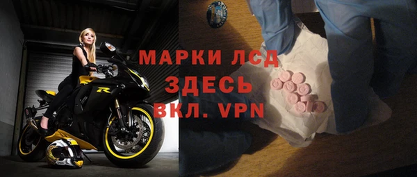 индика Краснослободск