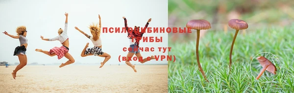 трава Красноперекопск