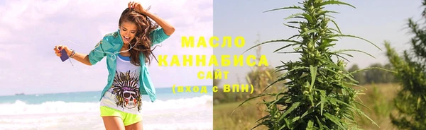 индика Краснослободск