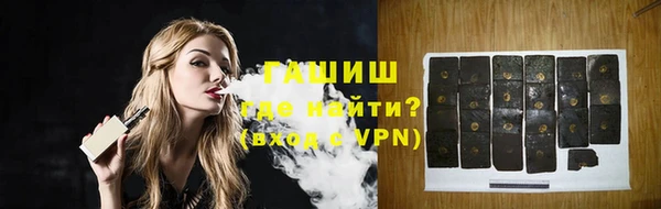 индика Краснослободск