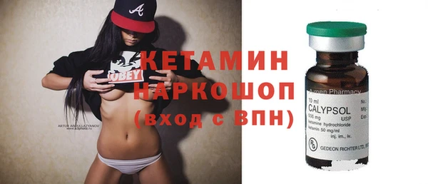 индика Краснослободск
