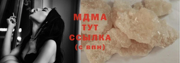 индика Краснослободск