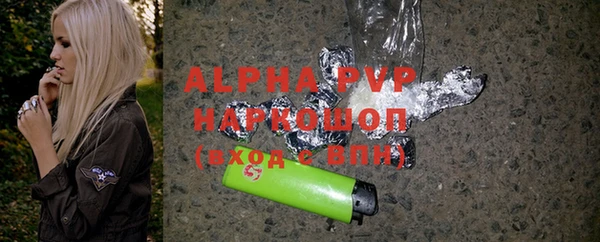 индика Краснослободск