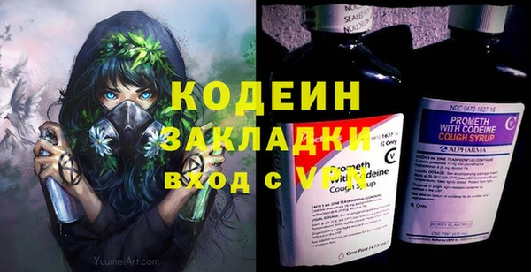 индика Краснослободск