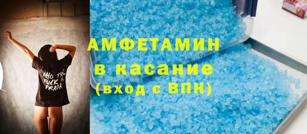 индика Краснослободск