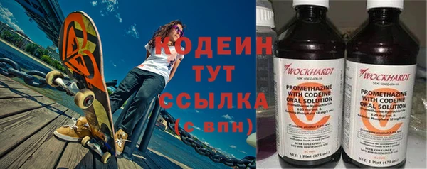 индика Краснослободск
