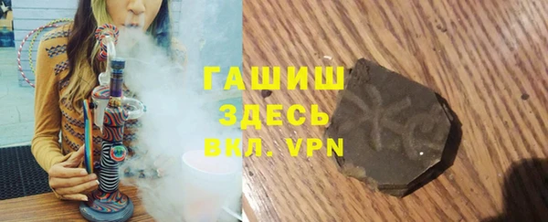 индика Краснослободск