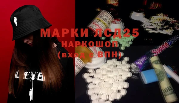 индика Краснослободск