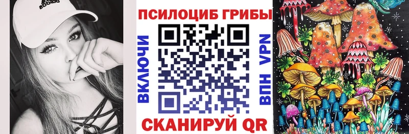 Галлюциногенные грибы Psilocybine cubensis  Купить  Павлово 